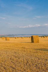 Fototapeta premium Field after harvest, Big round bales of straw