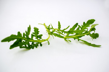 Eruca sativa isolated on white background.Fresh rucola leaves on background