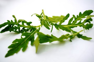 Eruca sativa isolated on white background.Fresh rucola leaves on background