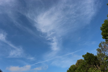  White clouds of unusual shape appeared on a blue sky