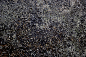 wall texture with grey