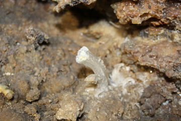 Beautiful crystals in a karst cave.