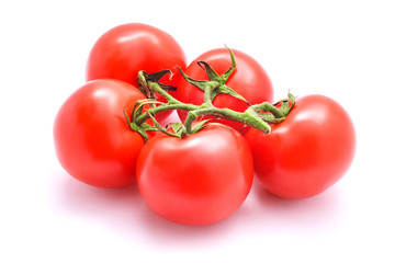 tomatoes