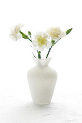 White flowers on a white background. Bouquet of white carnations in a vase. Space for text. 