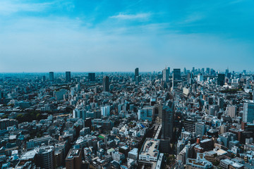 Fototapeta premium tokyo sky line