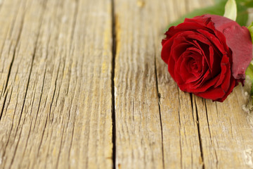 Red roses on old wooden table.