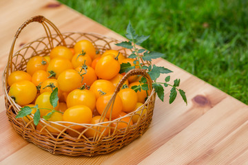 A group of ripe red and yellow cherry tomatoes