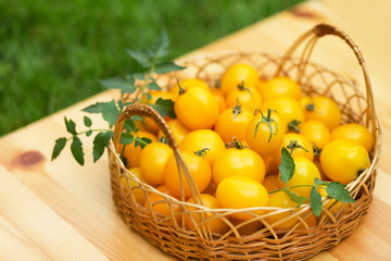 A group of ripe red and yellow cherry tomatoes
