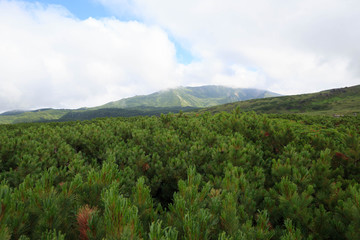 Fototapeta premium View across plateau on Mt. Asahidake on a summer day