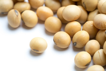 soy beans- close up on white