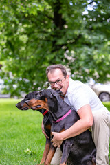 two black dobermans. Man walks in the park two pureblood Dobermanns