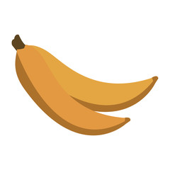 Delicious bananas fruits vector illustration graphic design