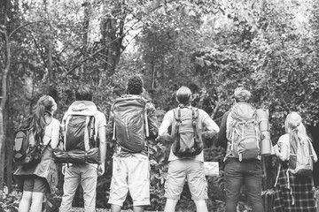 Friends trekking together in a forest