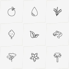 Nature line icon set with seaweed, flower and apple