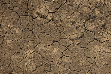 Dried cracked soil