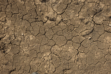 Dried Cracked dirt texture