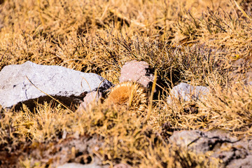 La Malinche, México