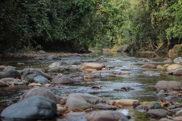beautiful river in the wild venezuela