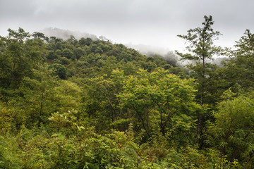 Mountain Scenery, Myanmar