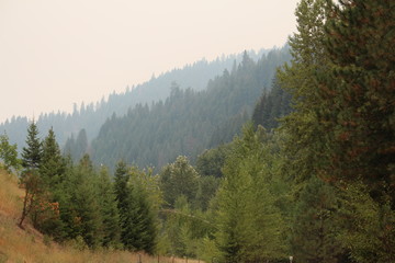 Smokey Trail - Wallace, Idaho