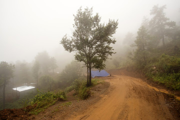 Misty Road in Burma