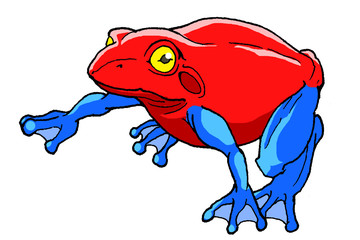 ヤドクガエル・森の宝石