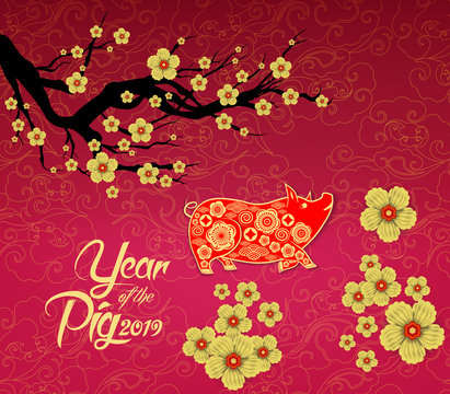 Chinese New Year design. Pig with plum blossom in traditional chinese background