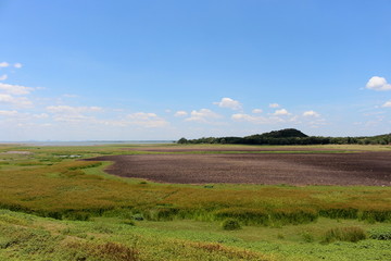 Obraz premium Landscape of Pa Sak Jolasid dam has little water (View from the train), Lop Buri Province, Thailand