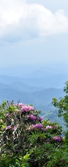 Fototapeta premium far mountain 