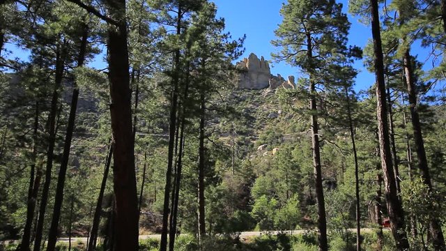 Vehicles traveling through the forest of the Catalina Mountains. 