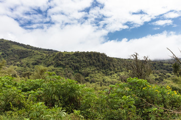 Fototapeta na wymiar Landscape of Aderdare mountain. A blue sky and clouds over bright green jungle. Kenya