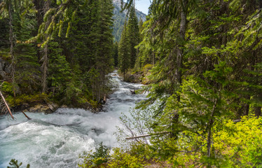 the rushing whitewater of the Lostine River in the Wallowa Mountains of northeast Oregon