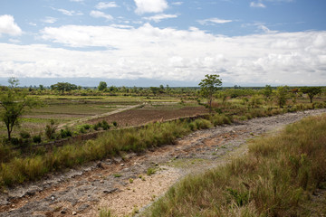 Fototapeta na wymiar Grassy Plains - Chin State Area, Myanmar