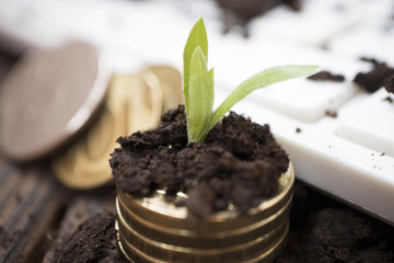plant growing on a stack of coins on white keyboard, business growth concept, business theme
