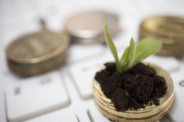 plant growing on a stack of coins on white keyboard, business growth concept, business theme