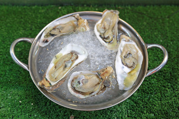 Fresh oysters served on ice.