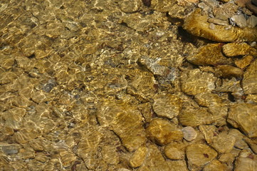 Clean mountain river - stones