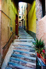 Fototapeta na wymiar Vernazza Cinque Terre Stunning Alley 
