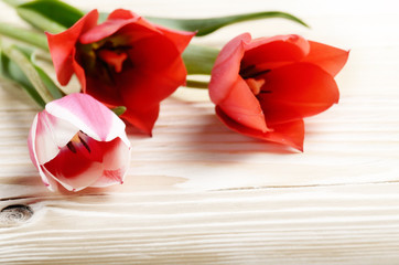 Naklejka na ściany i meble Bouquet of red and pink tulips on natural wooden background with space for text