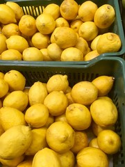 Fresh lemons on the market counter