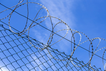 Loops of spiked or razor wire curling around long stretches of barbed wire against a blue sky, close up