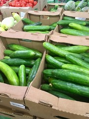 Fresh green cucumbers in boxes on the market counter