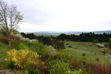 Bad Frankenhausen am Kyffhäusergebirge