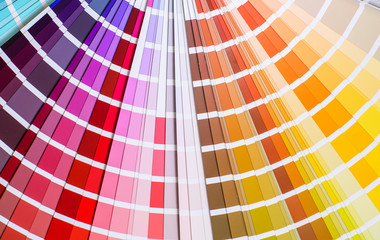 bright color palette