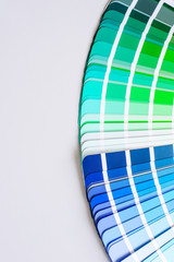 bright color palette