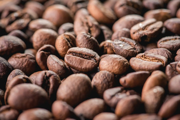 coffee beans are the background.