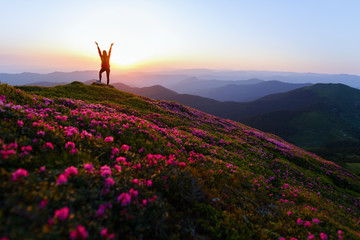 Hiker woman standing with hands up achieving the top. Girl welcomes a sun. Successful woman hiker open arms on sunrise mountain top. Magic pink rhododendron flowers on summer mountains - 210272700