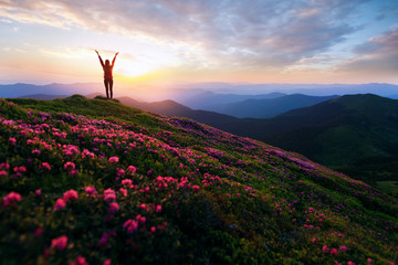 Hiker woman standing with hands up achieving the top. Girl welcomes a sun. Successful woman hiker open arms on sunrise mountain top. Magic pink rhododendron flowers on summer mountains - Powered by Adobe