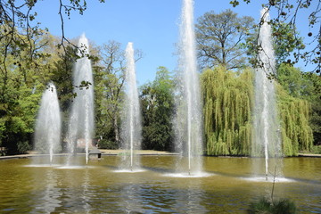Bethmannweiher in Frankfurt