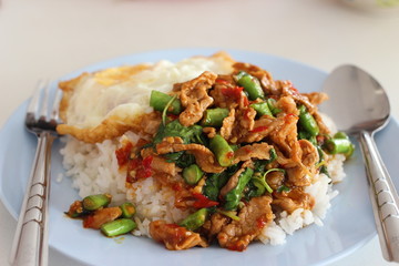 Kao-Pad-Kra-Prao, spicy food, chili food, or Thai rice with pork and basil, Thailand street food